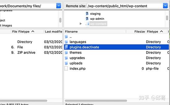 如何修复 WordPress 中的严重错误（逐步）